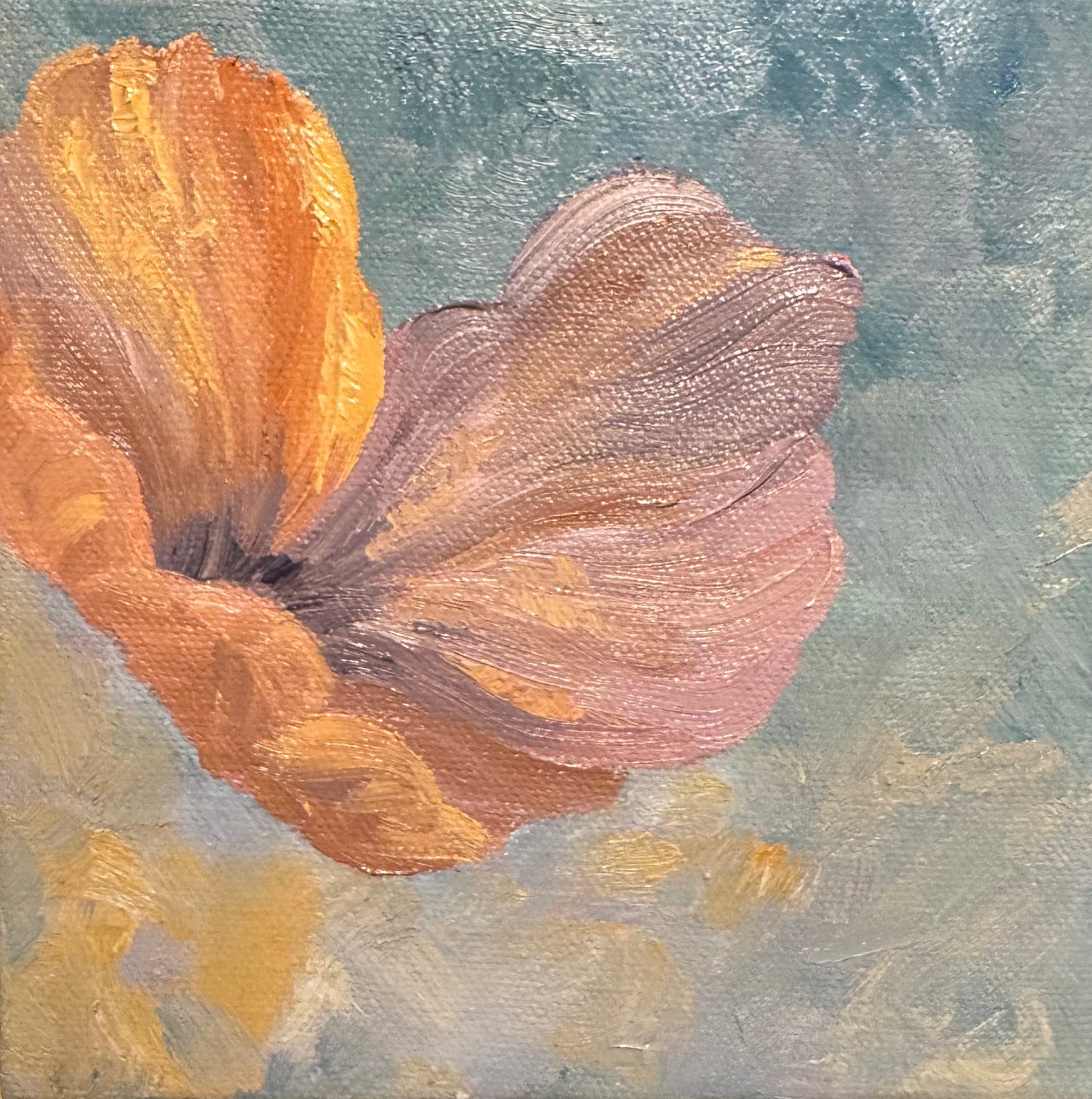 Fleeting Forms: Becoming
