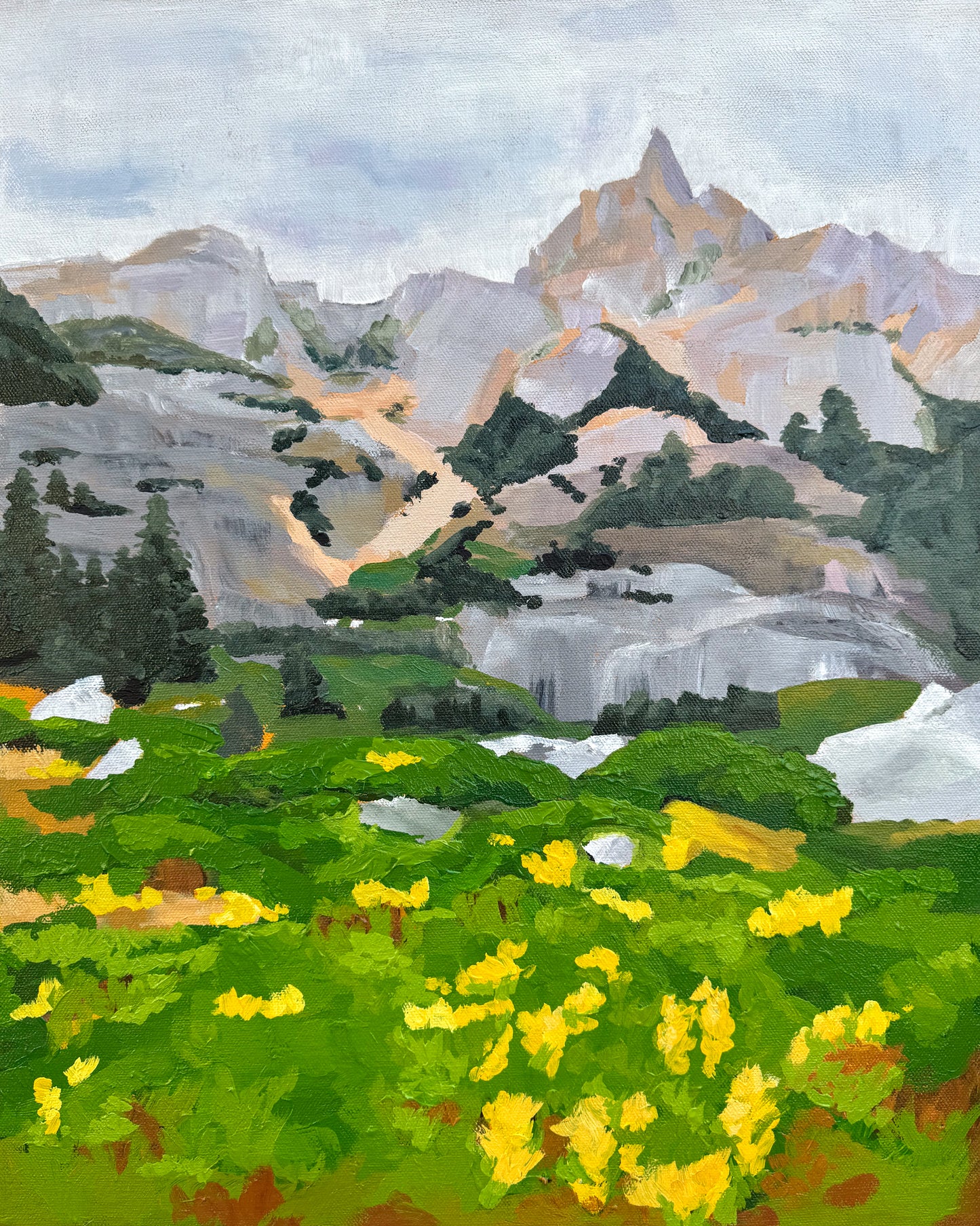 Idaho Meadow