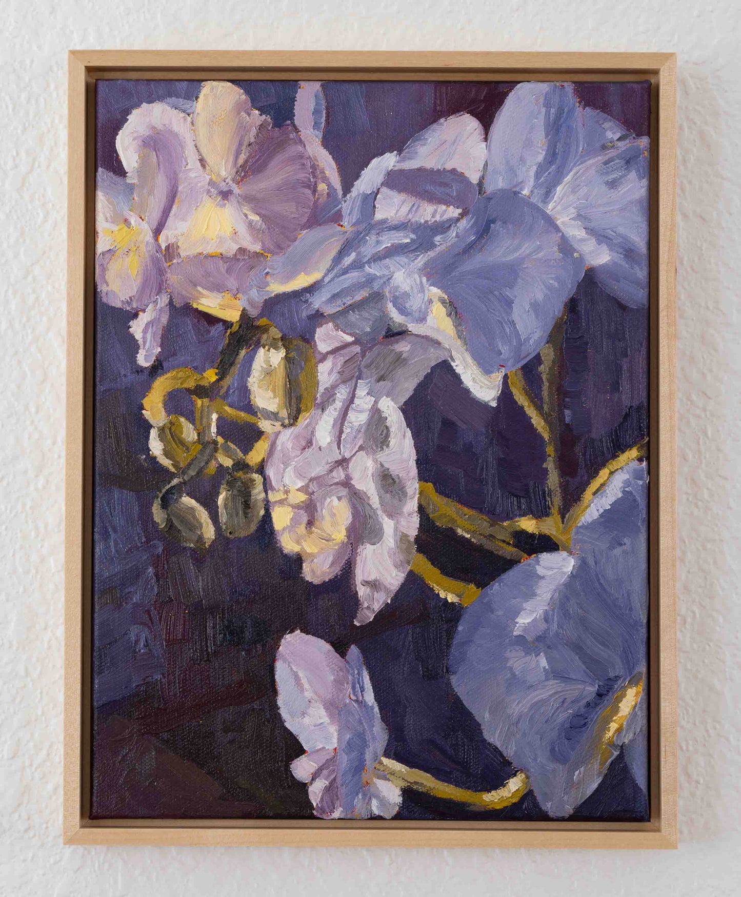 Night Blooms