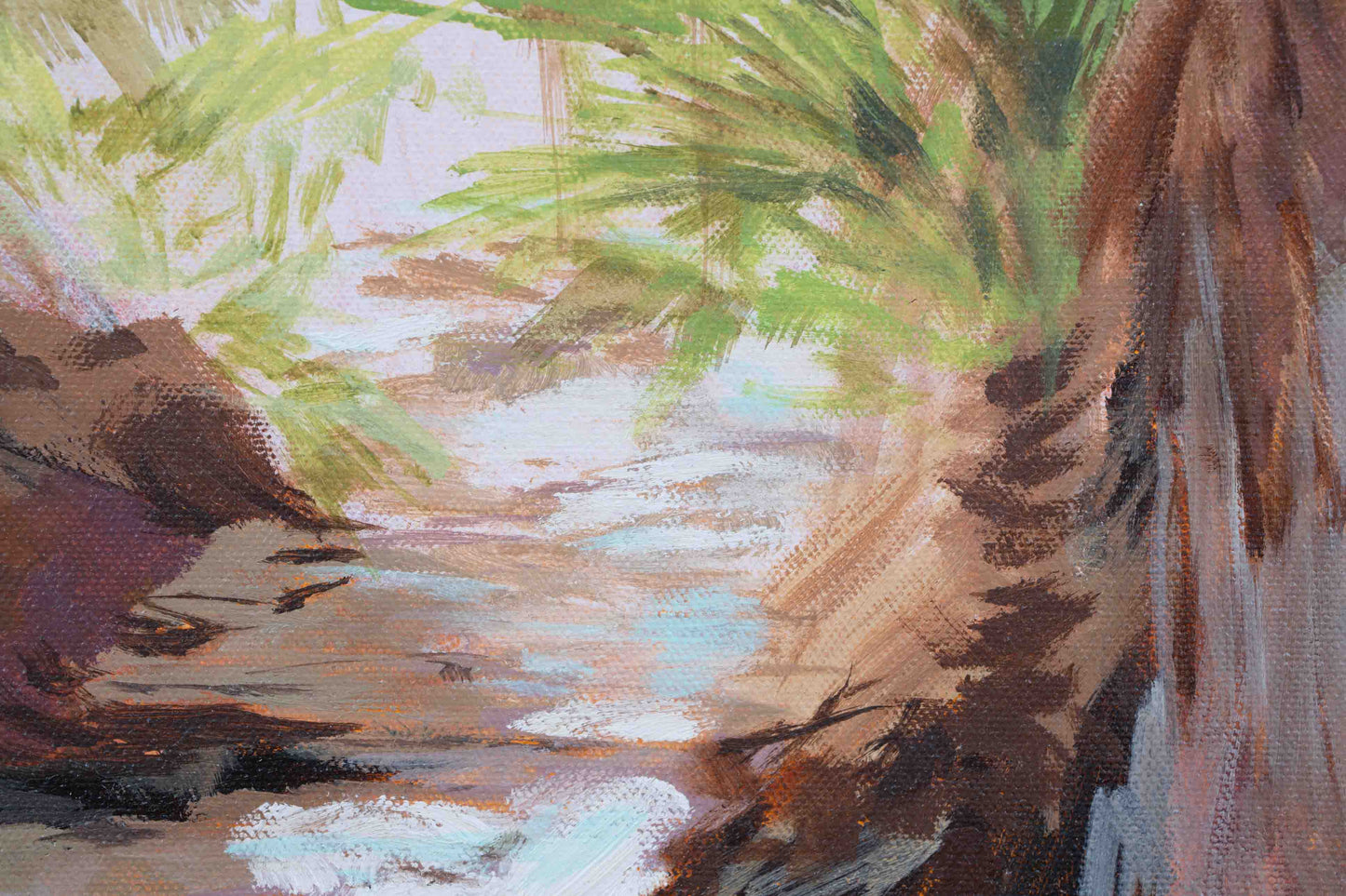River of Palms