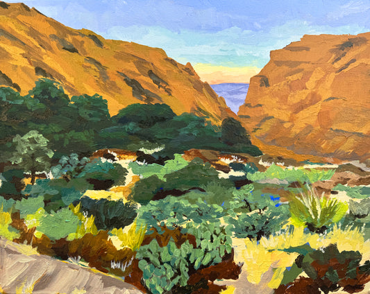 Big Bend NP